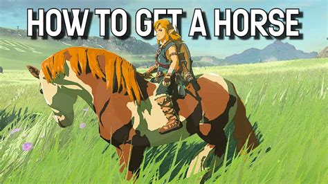 totk how to keep a horse